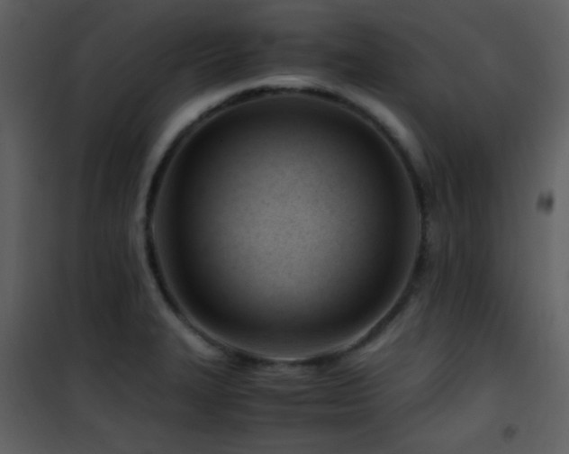X0000101961327200807181031