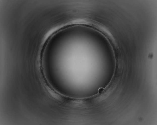 X0000101961328200807181031