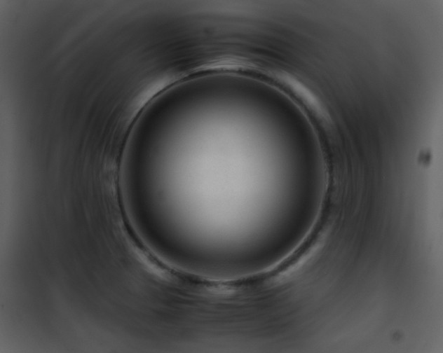 X0000101961329200807181031