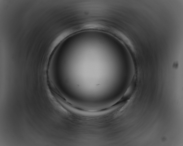 X0000101961330200807181031