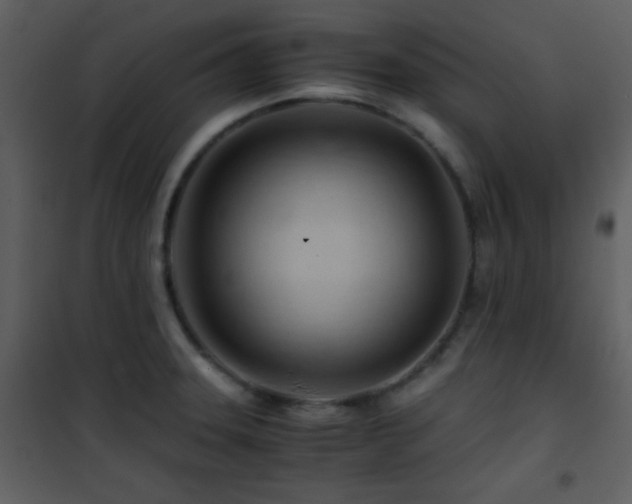X0000101961331200807181031