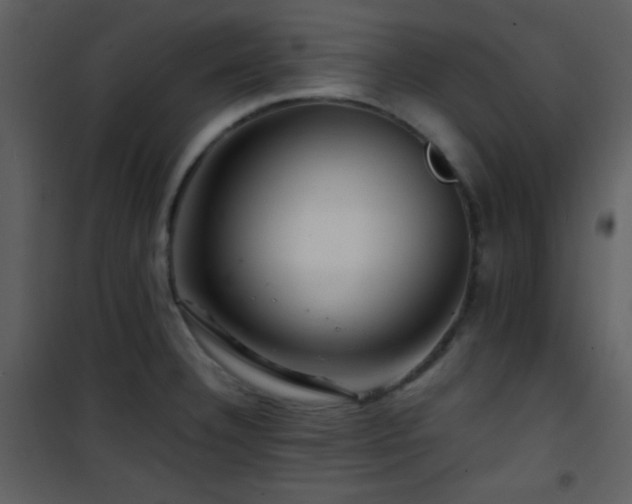 X0000101961332200807181031