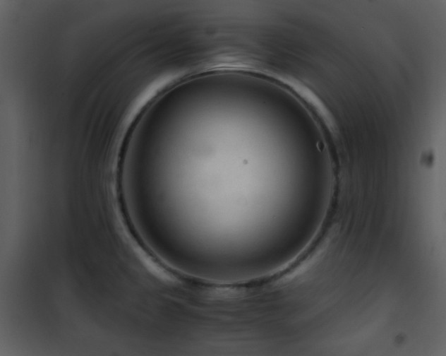 X0000101961333200807181031
