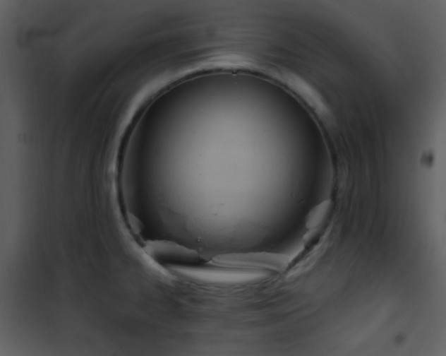 X0000101961334200807181031