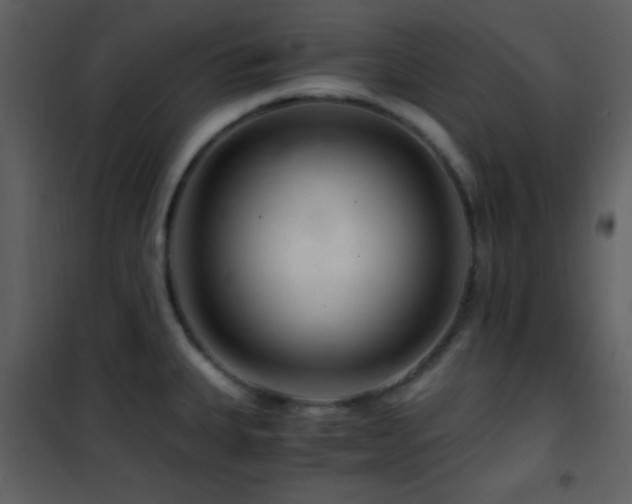 X0000101961335200807181031