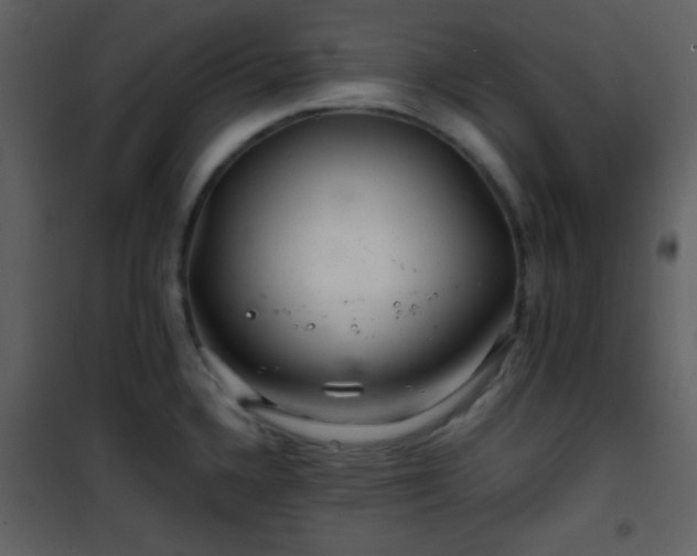 X0000101961336200807181031