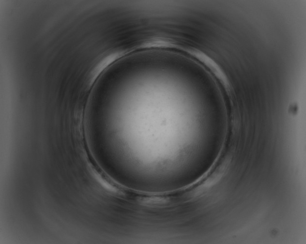 X0000101961337200807181031