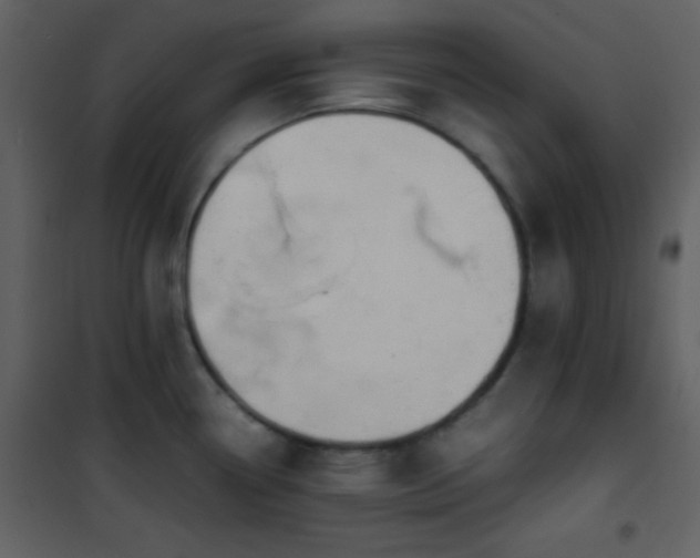 X0000101961338200807181031