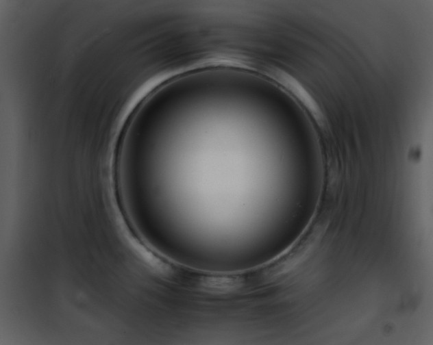 X0000101961339200807181031