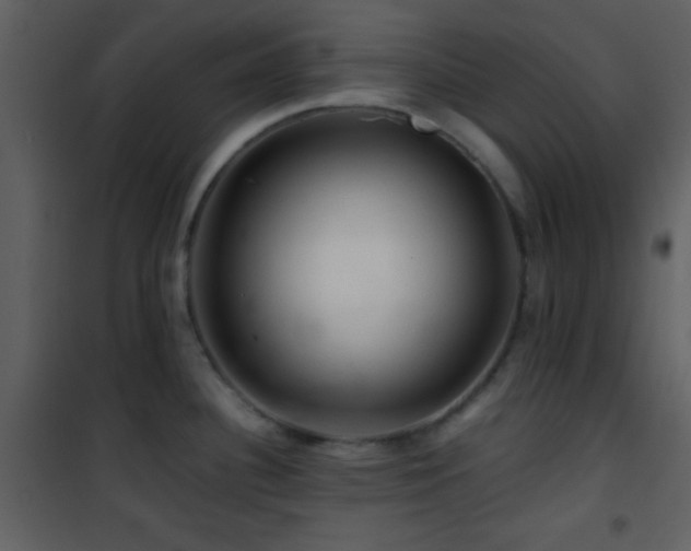 X0000101961340200807181031