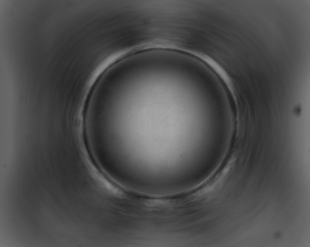 X0000101961341200807181031
