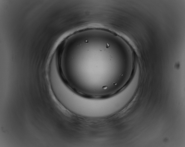 X0000101961342200807181031