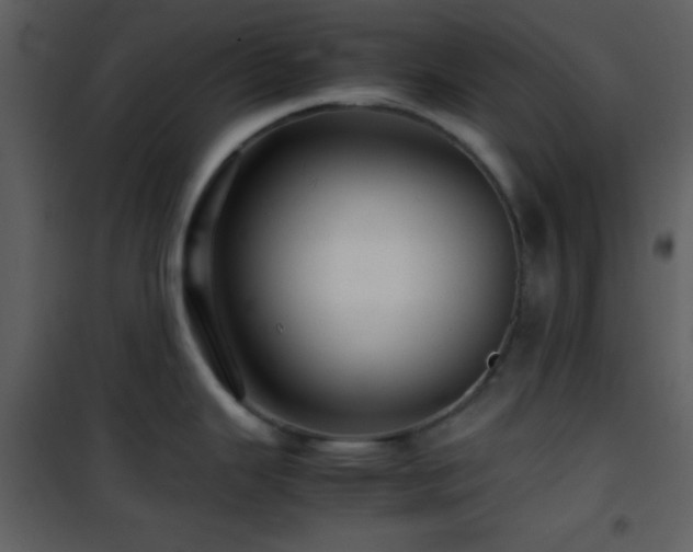 X0000101961343200807181031