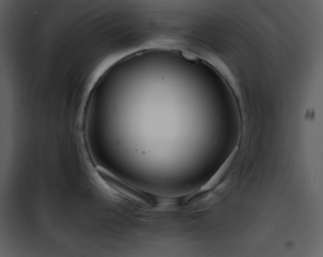 X0000101961344200807181031