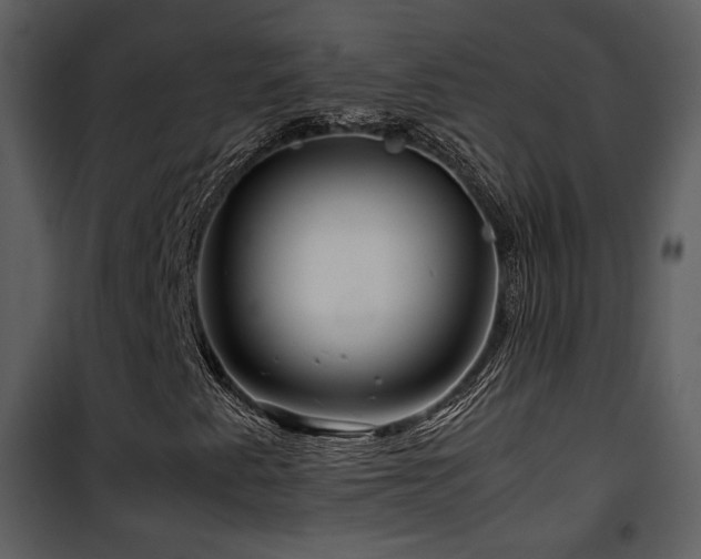 X0000101961345200807181031