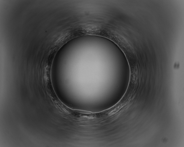 X0000101961346200807181031
