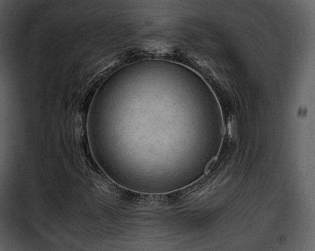 X0000101961347200807181031