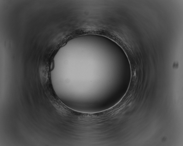 X0000101961348200807181031