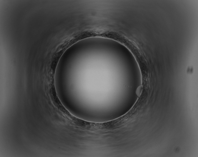 X0000101961349200807181031