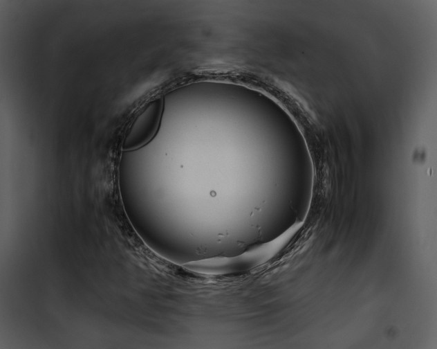 X0000101961350200807181031