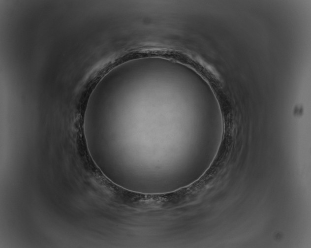 X0000101961351200807181031
