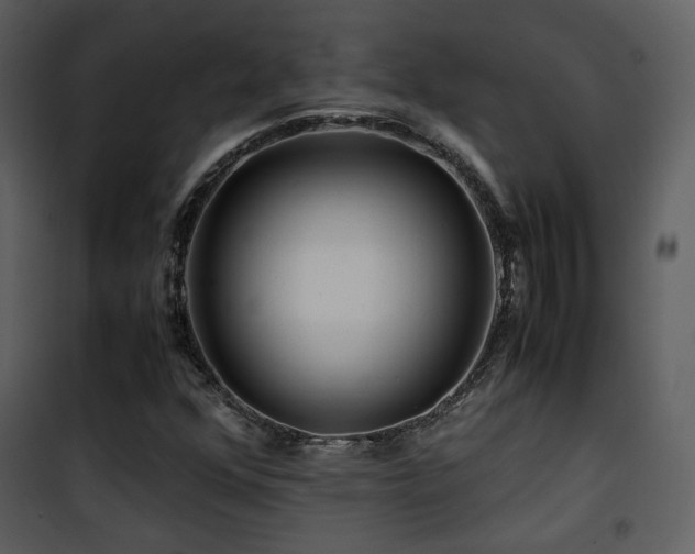 X0000101961352200807181031