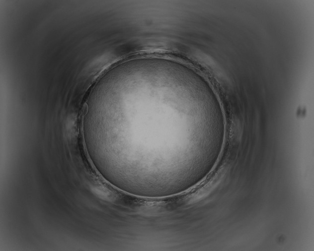X0000101961353200807181030