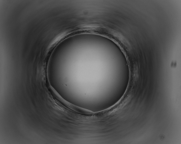 X0000101961354200807181030
