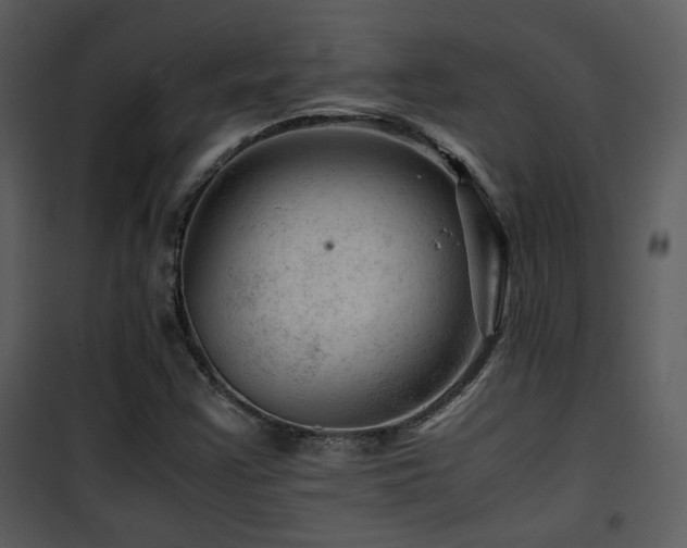 X0000101961355200807181030