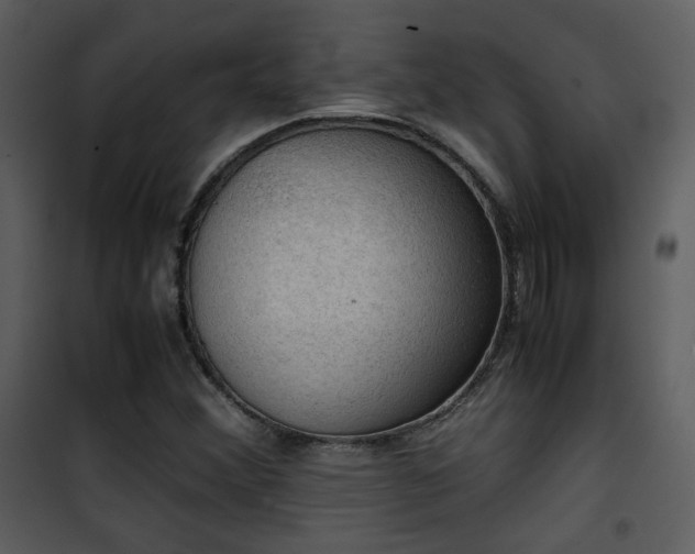X0000101961356200807181030