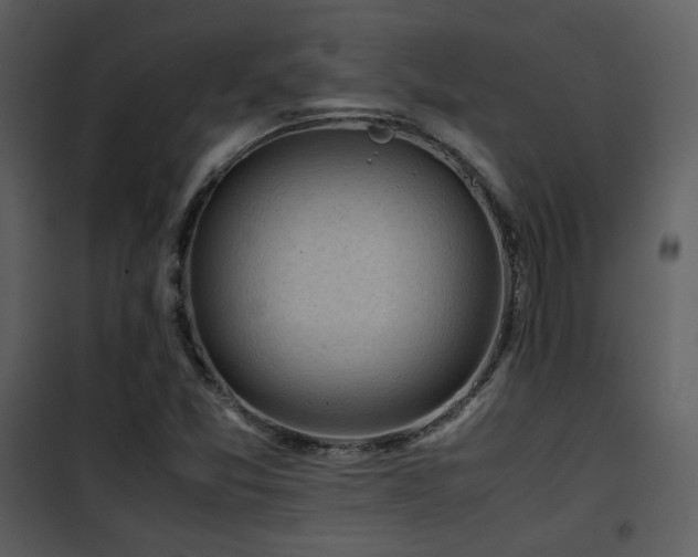 X0000101961357200807181030