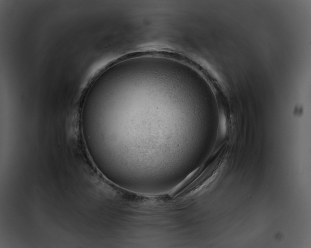 X0000101961358200807181030
