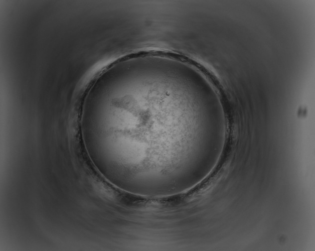 X0000101961359200807181030