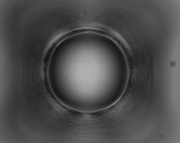 X0000101961360200807181030