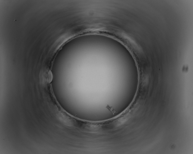 X0000101961361200807181030