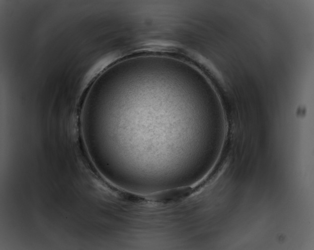 X0000101961362200807181030