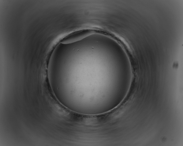 X0000101961363200807181030