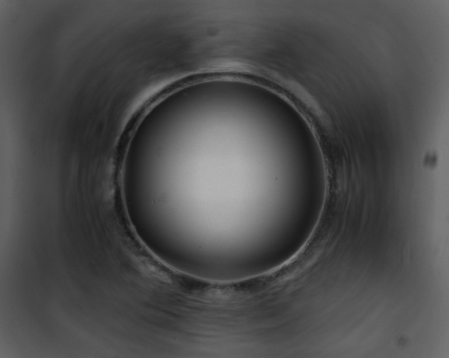 X0000101961364200807181030