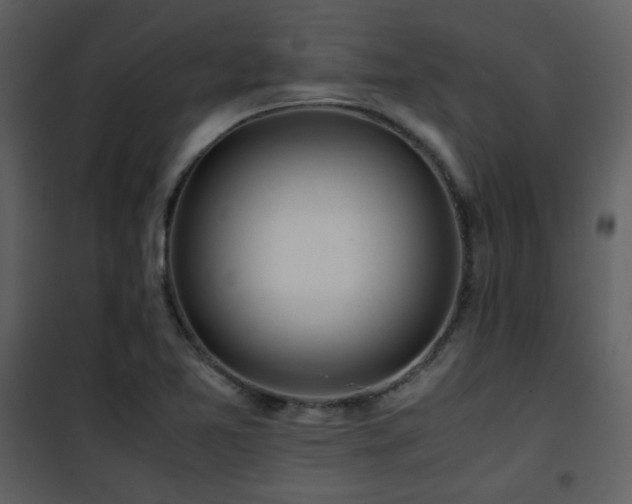 X0000101961365200807181030