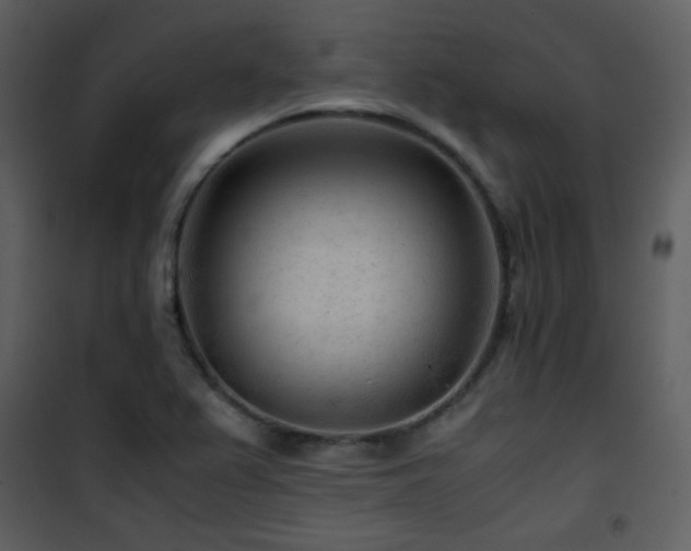 X0000101961367200807181030