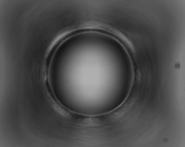 X0000101961368200807181030