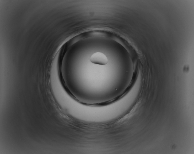 X0000101961369200807181030