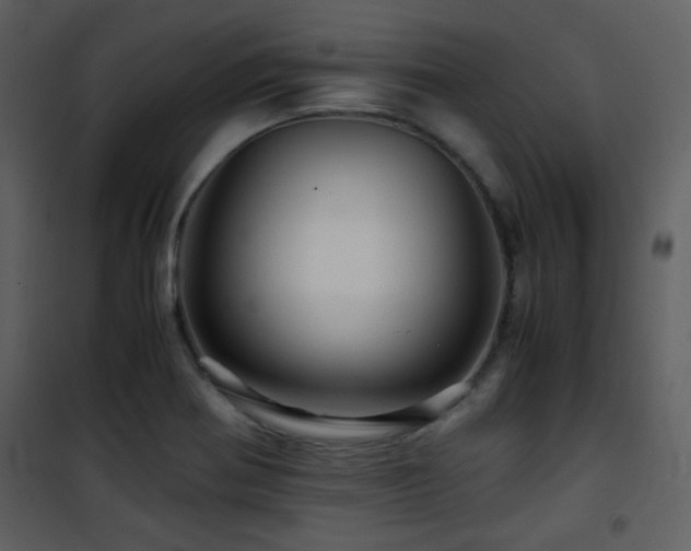 X0000101961370200807181030