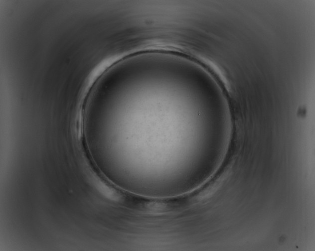 X0000101961371200807181030