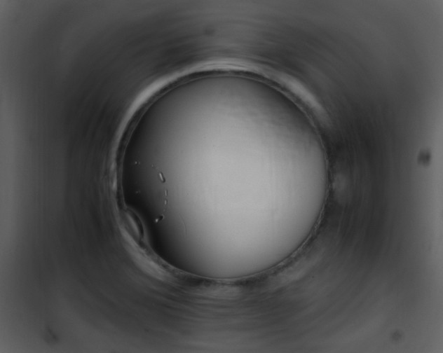 X0000101961372200807181030