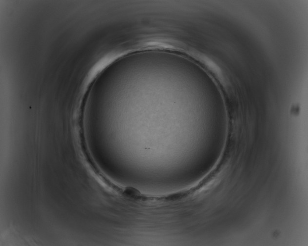 X0000101961373200807181030