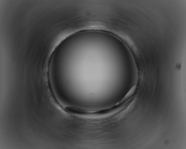 X0000101961374200807181030