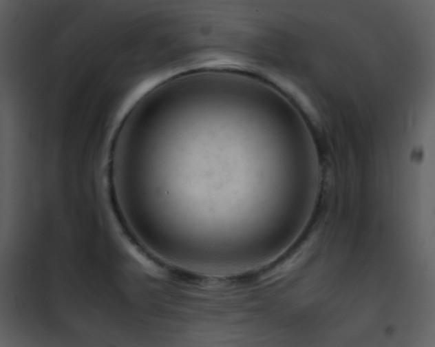 X0000101961375200807181030