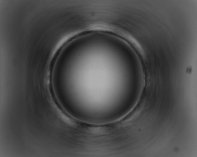 X0000101961376200807181030