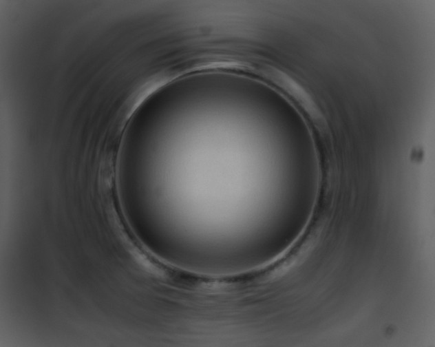 X0000101961377200807181030